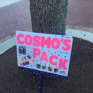 Team Page: Cosmo's Pack 